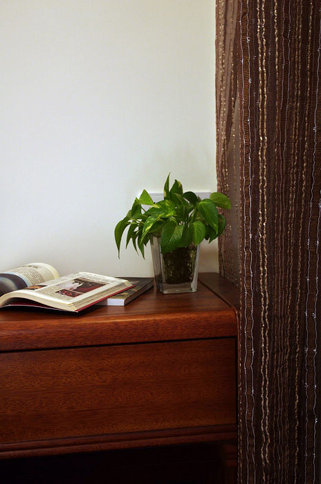 柜子,书架,水培植物,帘子