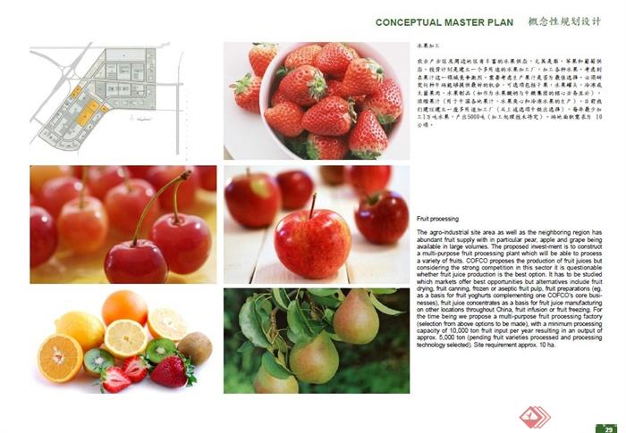 现代中式某地农业生态性规划设计PDF文本(3)