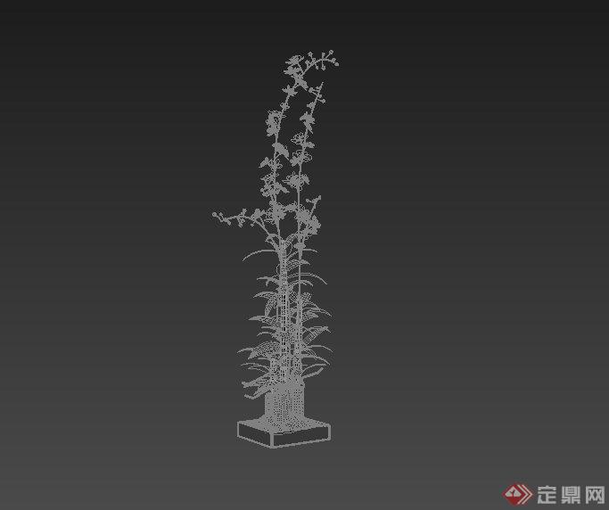 一棵室内盆栽花卉植物设计3DMAX模型(1)
