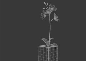 某室内植物盆栽花卉设计3DMAX模型