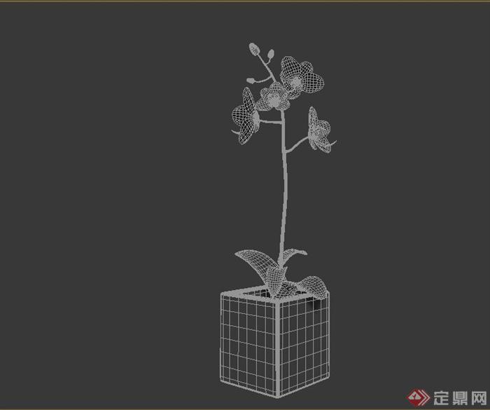 某室内植物盆栽花卉设计3DMAX模型(1)