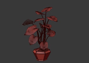 某室内植物设计3DMAX模型