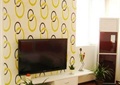 客厅,电视柜,电视墙,电视,空调,盆栽
