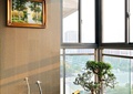 阳台,装饰品,盆栽植物,玻璃窗,装饰画