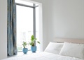 卧室,床,窗子,植物,窗帘,灯饰