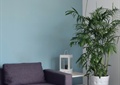 客厅,茶几,沙发,盆栽植物