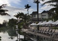 度假酒店,泳池,躺椅,遮阳伞,棕树