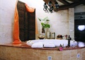 浴室,浴缸,吊灯,盆栽植物,摆件,屏风