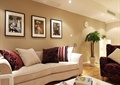 客厅,沙发,茶几,装饰画,盆栽,靠垫