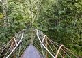 景观桥,观景台,桥,生态景观