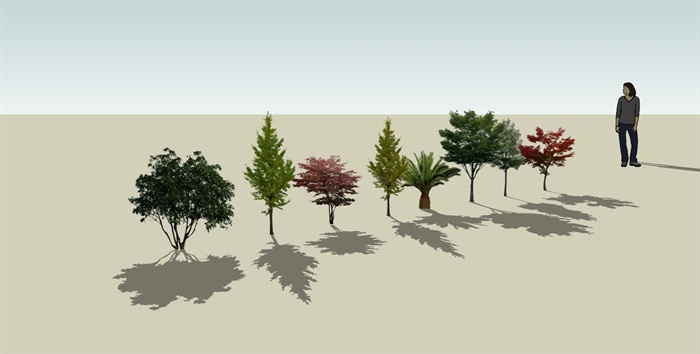 8颗景观植物su模型