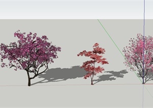 3颗观花植物设计SU(草图大师)模型