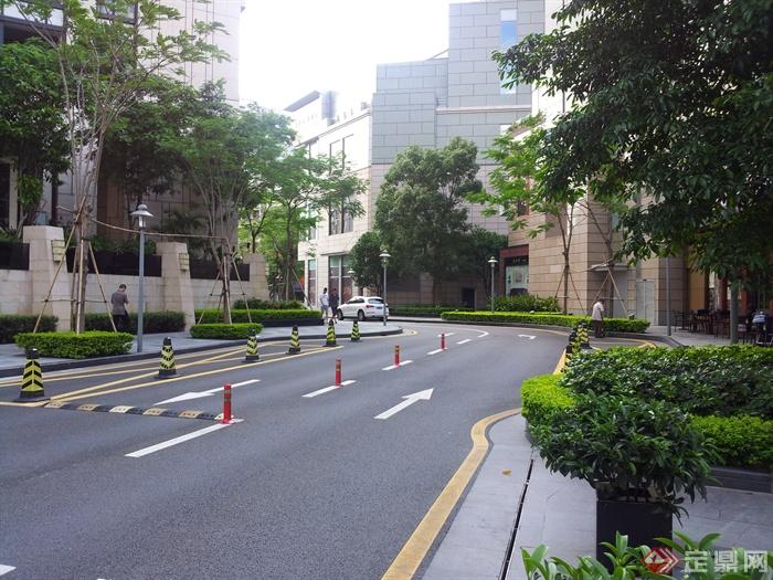 道路,道路铺装,树池,围墙