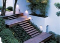 木楼梯,平台,植物