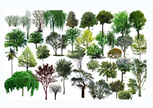 园林景观常用植物树木PSD素材