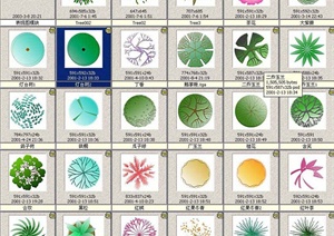 多张植物设计平面素材PSD图与JPG图