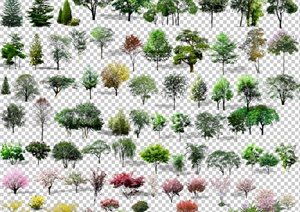 多棵植物素材设计PSD效果图