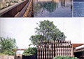 景观水池,栏杆,种植池