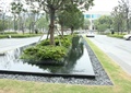 树池,景观水池,公共绿化
