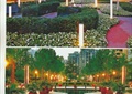 灯柱,景观水池,花钵,花池