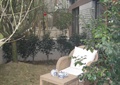 椅子,茶几,庭院景观