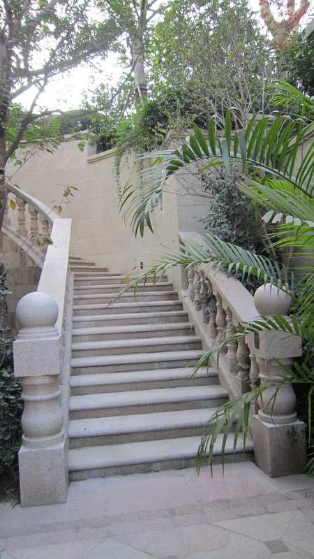 楼梯,扶手,植物