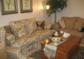 客厅,沙发,茶几,植物,台灯,摆件,装饰画