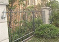 围墙,栏杆,植物