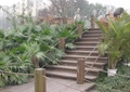 楼梯,植物,栏杆