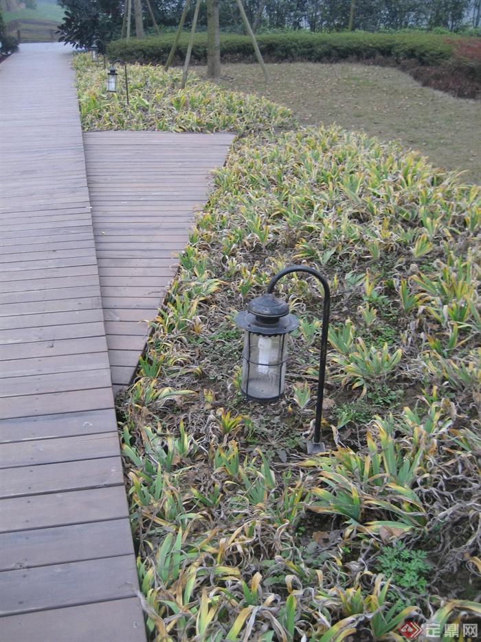 庭院灯,木地板,植物