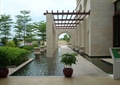 廊架,景观水池,盆栽
