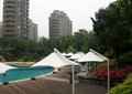遮阳伞,木平台,游泳池,植物