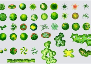 手绘样式绿色植物ps顶视素材