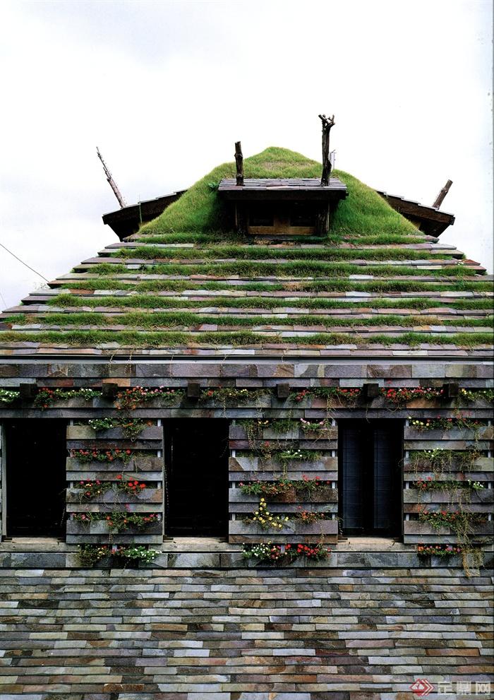 植物房,植物墙,植物屋顶