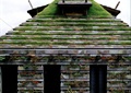 植物房,植物墙,植物屋顶
