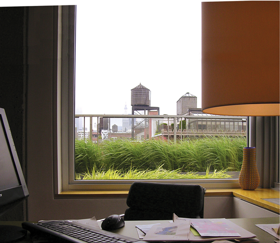 书房,办公桌,台灯,窗子,植物