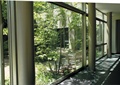 玻璃墙,植物,柱体
