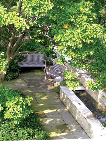 庭院景观,水池,椅子,地面铺装,乔木