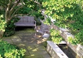 庭院景观,水池,椅子,地面铺装,乔木