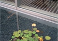 卵石池,植物