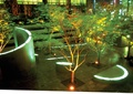 树池,植物,地面铺装,坐凳,地灯