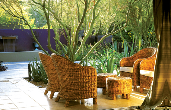 庭院景观,藤编桌椅,植物,地面铺装