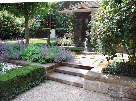 庭院景观,台阶,植物,花卉