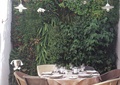 庭院景观,餐桌椅,植物墙,壁灯,餐具
