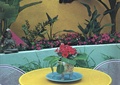 庭院景观,桌椅,花瓶插花,花池,草坪