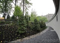 庭院景观,绿植,围墙