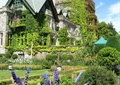 植物城堡,植物墙,花卉植物