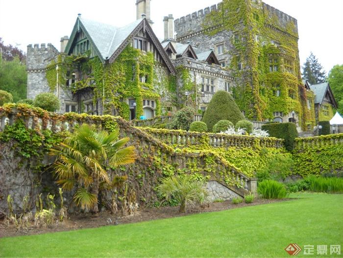 植物城堡,植物墙,楼梯,扶手栏杆,草坪