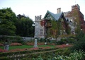 植物城堡,植物墙,花卉植物,花钵