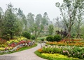 花池,观赏植物,花卉,园博园,公园